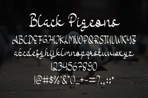 Black Pigeons Font - Preview 4