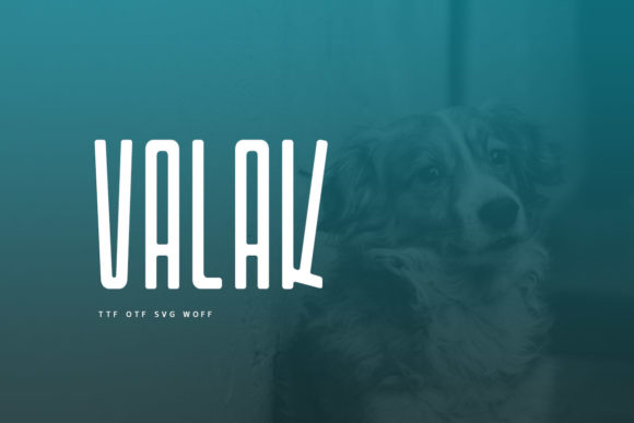 Bonorum Font - Preview 3