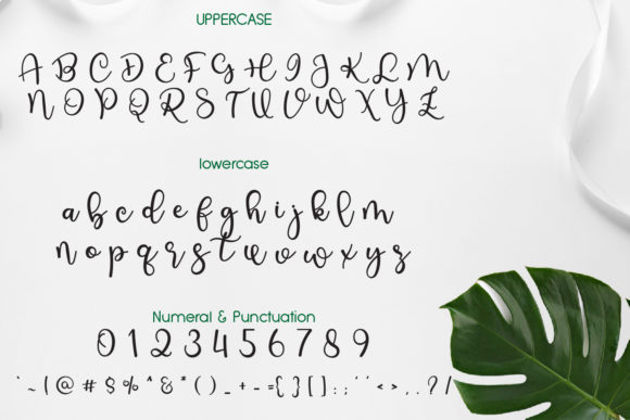 Cishoot Font - Preview 1