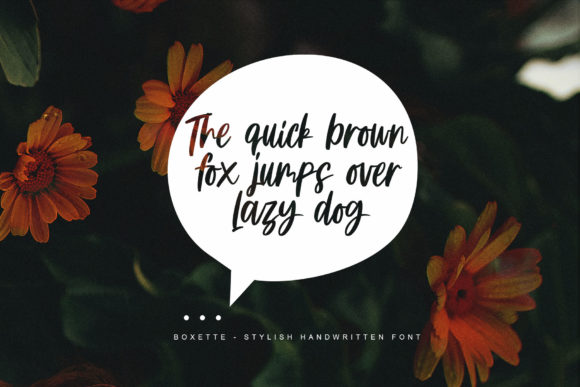 Boxette Font - Preview 1