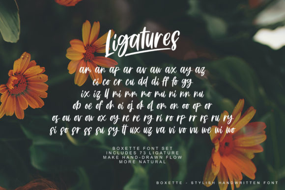 Boxette Font - Preview 6