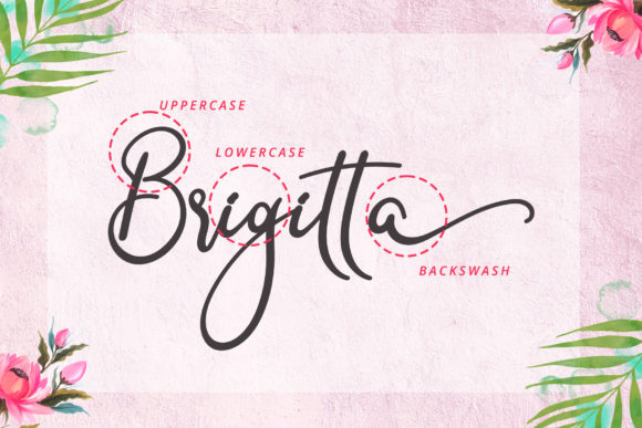 Clara Signature Font - Preview 1