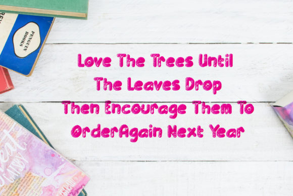 Floral Spring Font - Preview 6