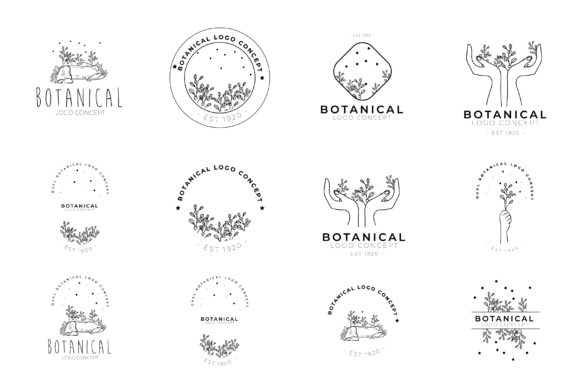 Modern Botanical Hand Drawn Floral Logo