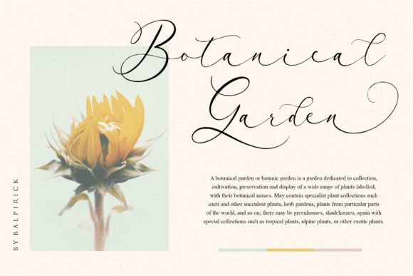 Arletta Font - Preview 1