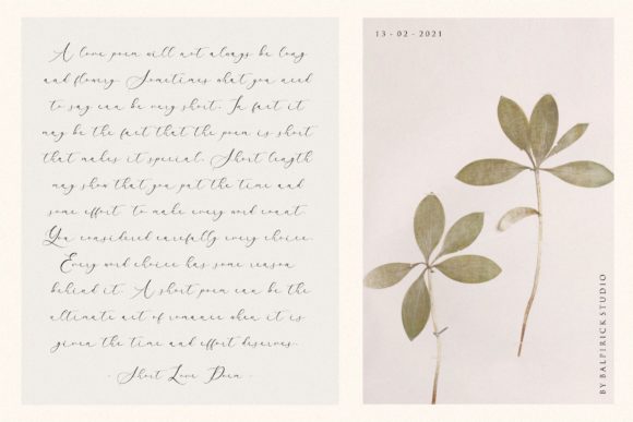 Arletta Font - Preview 3