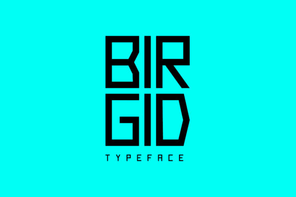 Birgid Font - Preview 1