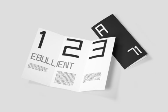 Birgid Font - Preview 2
