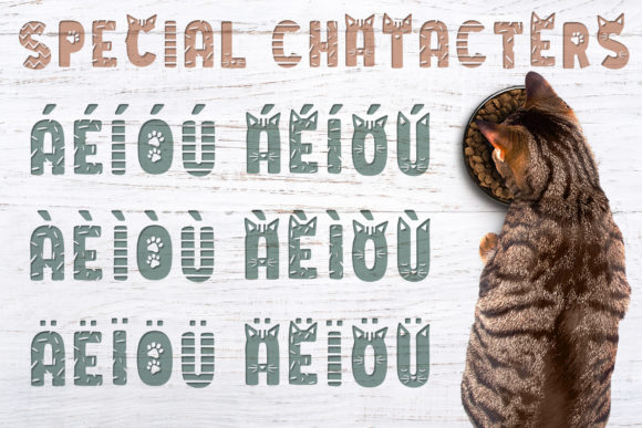 Cat Lady Font - Preview 3