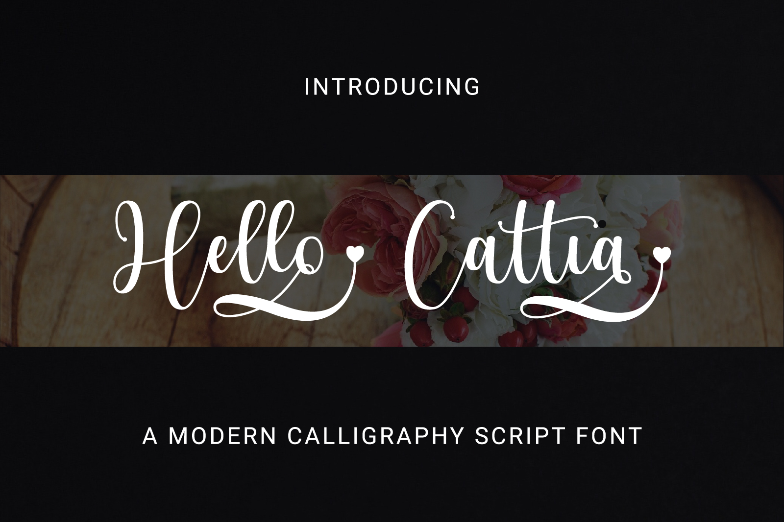 Hello Cattia