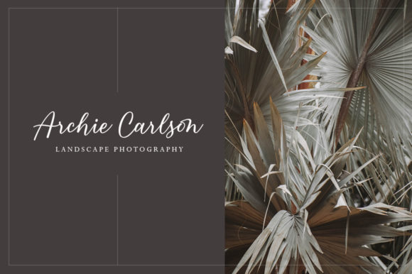 Catchy Bellonia Font - Preview 2