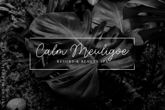 Catchy Bellonia Font - Preview 3
