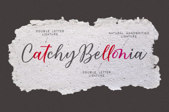 Catchy Bellonia Font - Preview 5