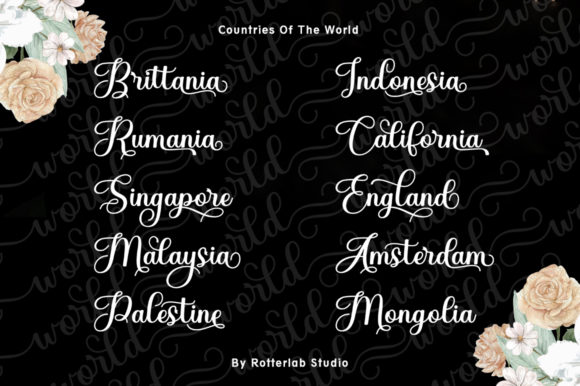 Diary Angelique Font - Preview 4