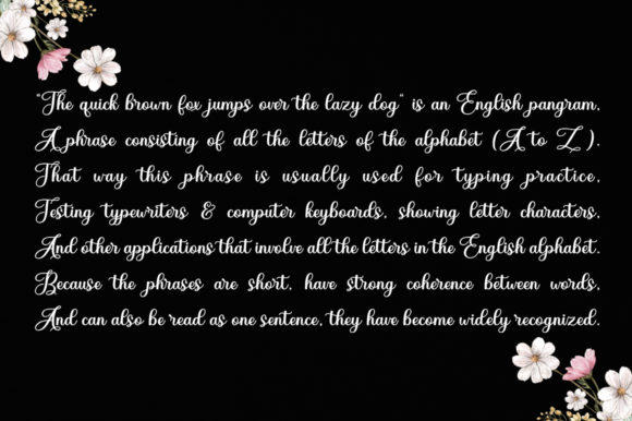 Diary Angelique Font - Preview 5