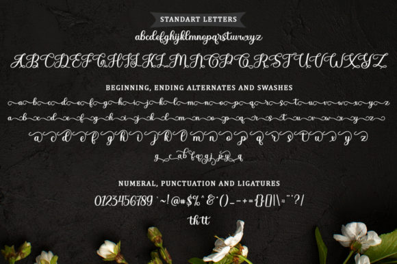 Diary Angelique Font - Preview 6