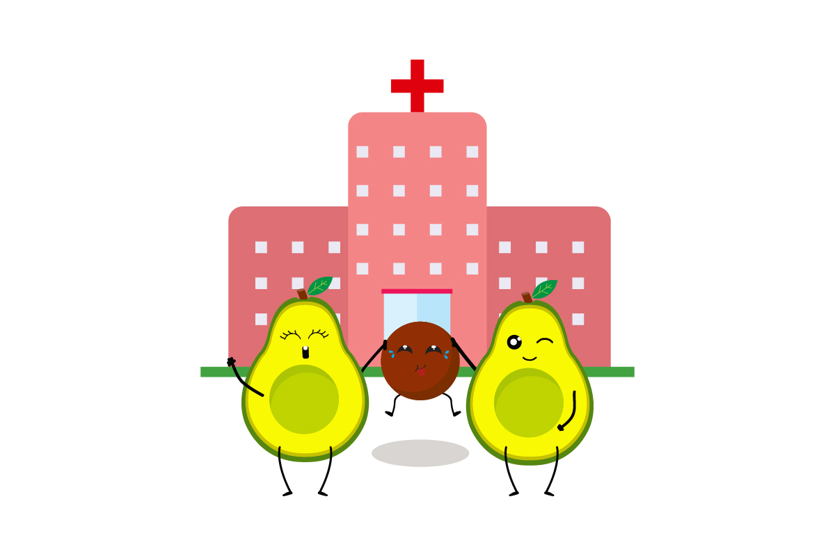 Kawaii Fruit Cute Avocado Hospital Graphic by hafawwart09 · Creative ...