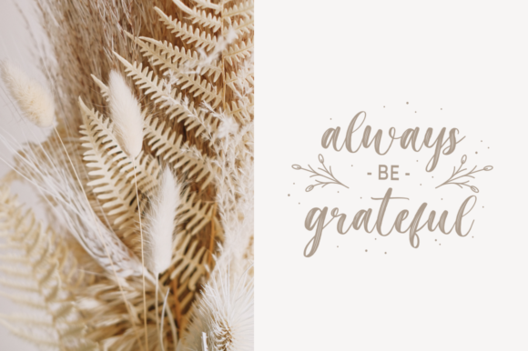 Magista Brush Font PNG with transparent background - Preview 3