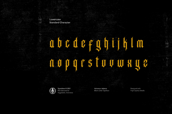 Acinonyx Jubatus Font - Preview 6