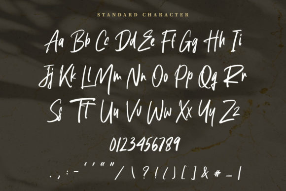 Agustine Roland Font - Preview 6