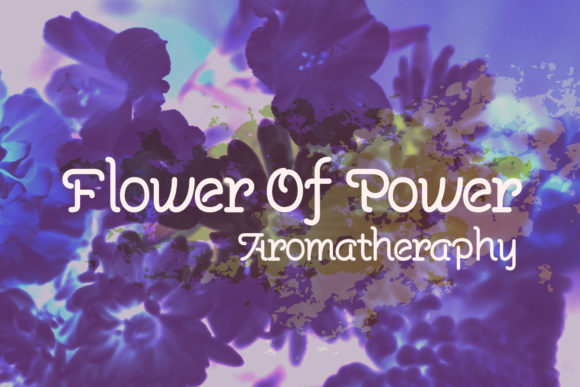 Prunellia Font PNG with transparent background - Preview 3