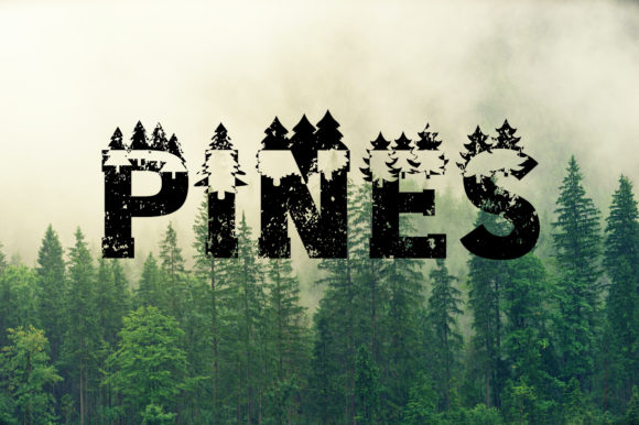 Forest Font - Preview 3