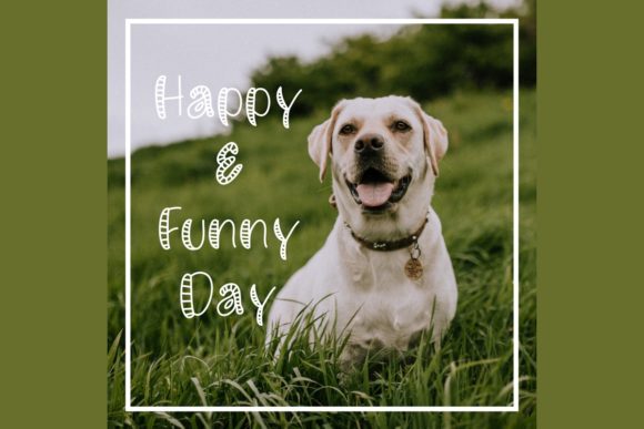 Hello Zebra Font - Preview 2