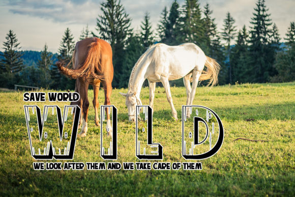 Jungle Wild Font font preview - 1