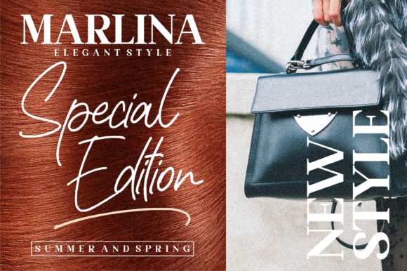 Rafaella Signature Font PNG with transparent background - Preview 3