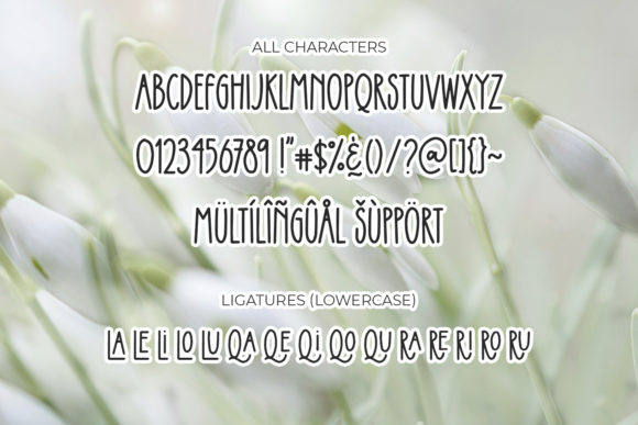 Applique Font - Preview 5