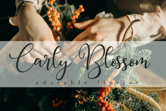 Bellesa Font - Preview 3