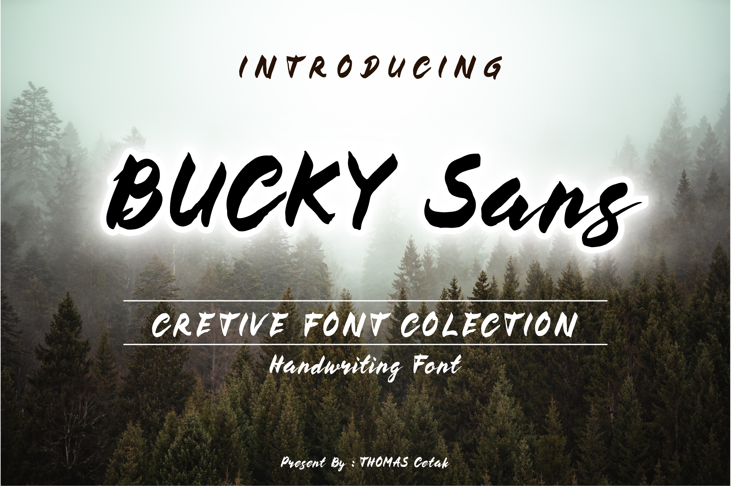 Bucky — wide bold brush script font by thomascetak