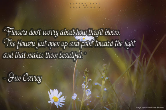 Daisy Flowers Font PNG with transparent background - Preview 1