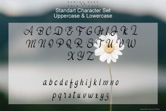 Daisy Flowers Font PNG with transparent background - Preview 2