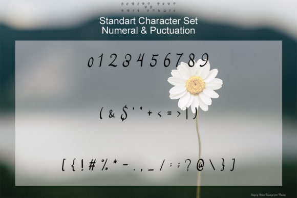 Daisy Flowers Font PNG with transparent background - Preview 3
