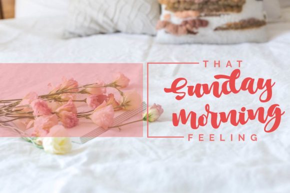 Ginger Plum Font PNG with transparent background - Preview 1