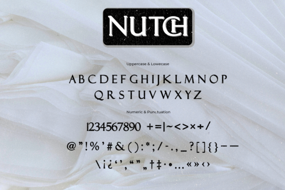 Nutch Font font preview - 1