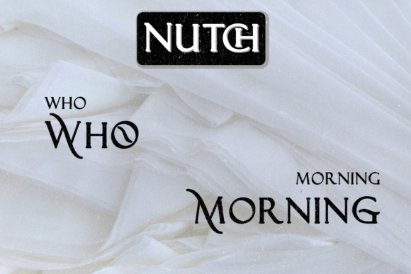 Nutch Font font preview - 4