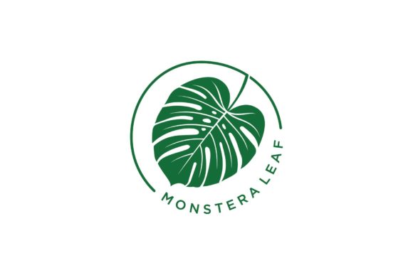 monstera mit wasser besprhen Tipps zur Pflege deiner Pflanze : Monstera deliciosa  PflanzenFuerAlle