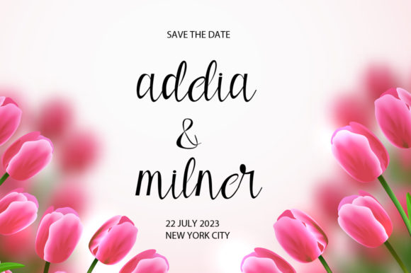 Alita Font - Preview 3