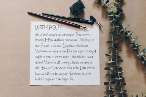 Amelia Font - Preview 3