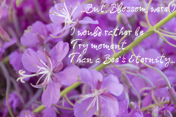 Blooming Sally Font - Preview 4