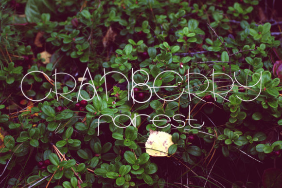 Concept Font - Preview 1