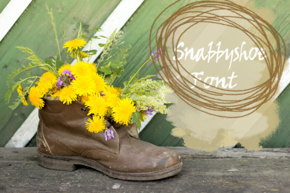 Snabbyshoe Font PNG with transparent background - Preview 2