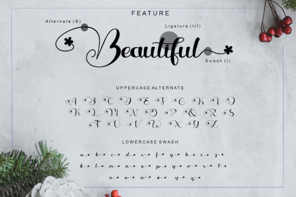 Beautiful Variella Font - Preview 4