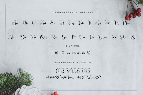Beautiful Variella Font - Preview 5