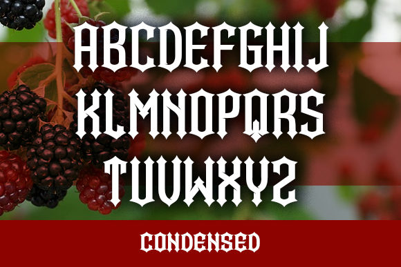 Bramble Princess Font - Preview 2
