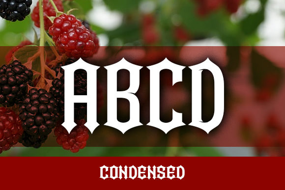Bramble Princess Font - Preview 3