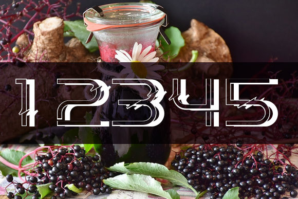 Elderberry Font - Preview 2