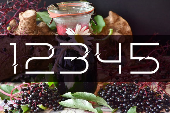 Elderberry Font - Preview 3